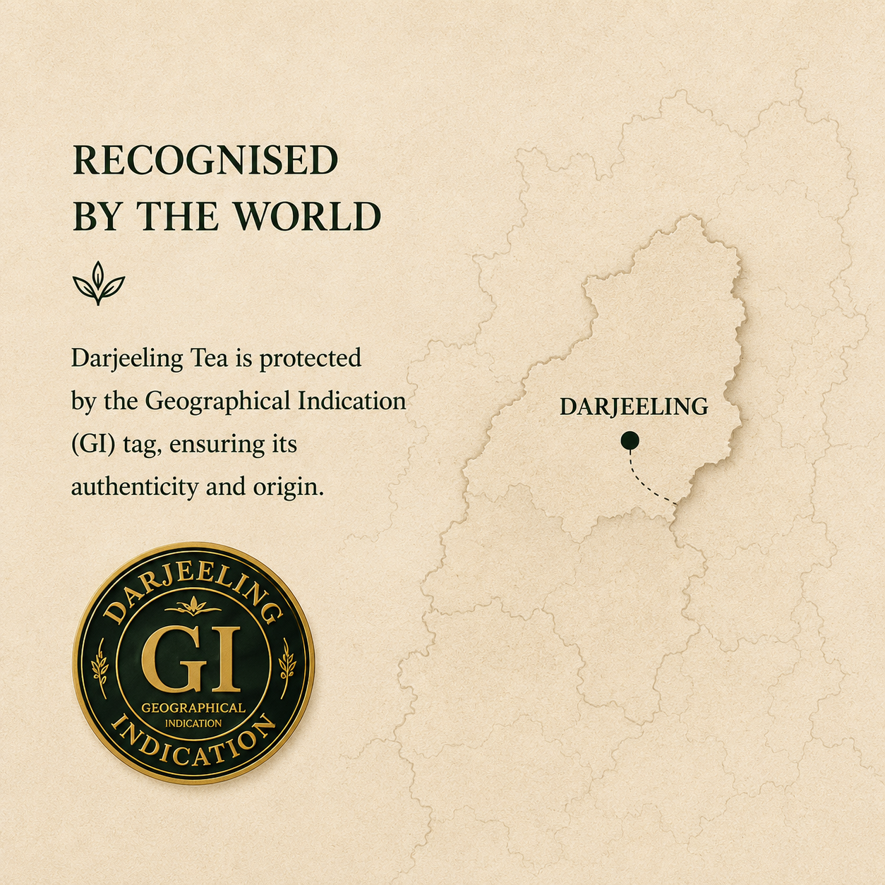 GI-Tagged Darjeeling Tea Explained