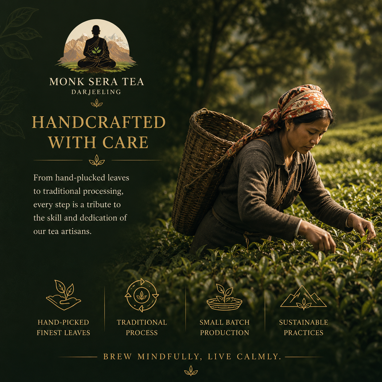 What Makes Darjeeling Tea Special