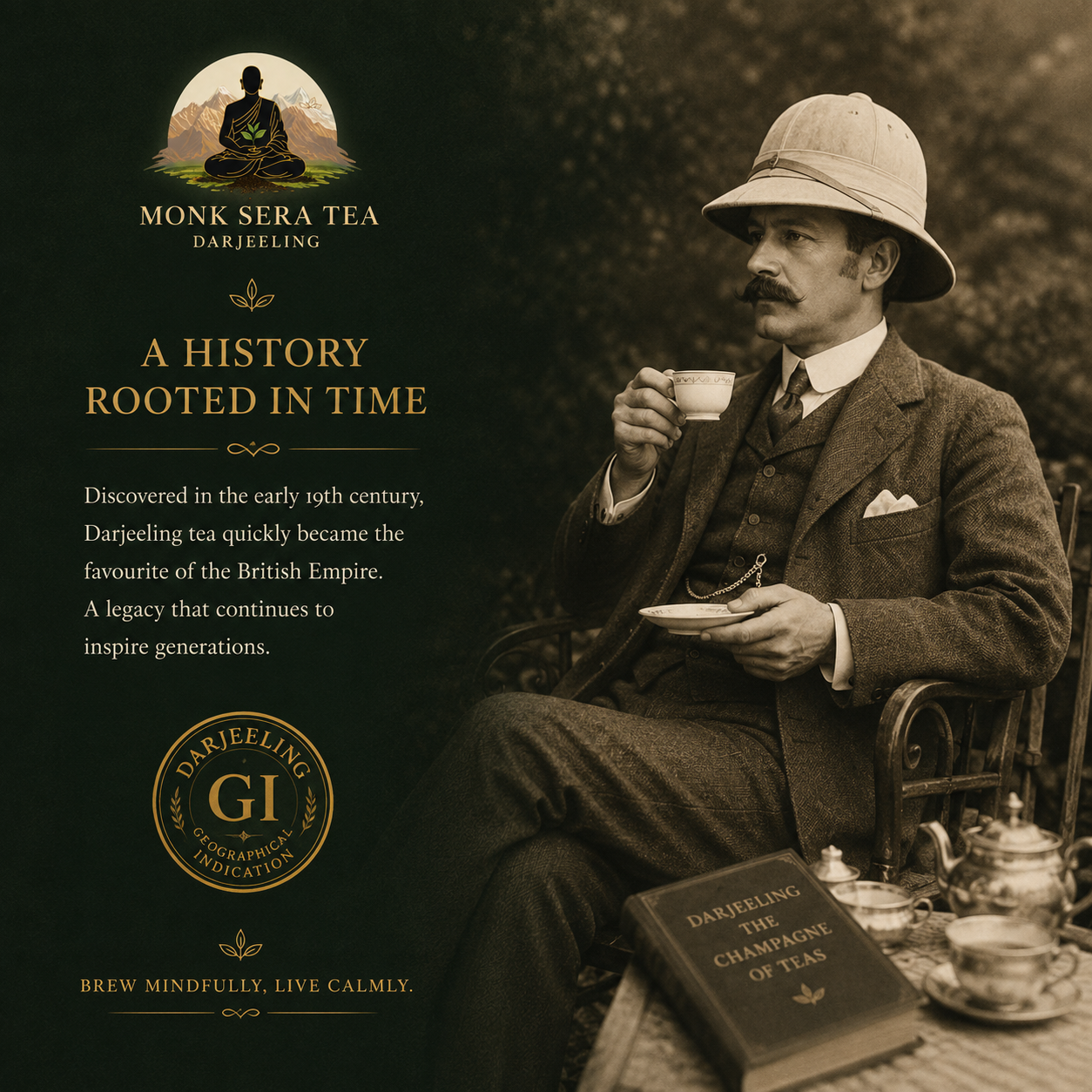 The History of Tea in India: From Wild Assam Leaves to the Champagne of Teas