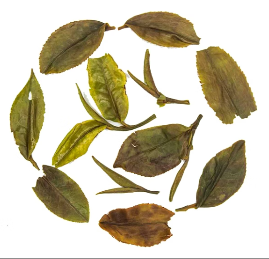 Sittong (Darjeeling) Imperial Hand Crafted  White Tea — view 3